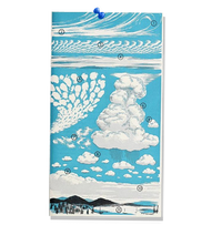 Vintage cloud weather image with 11 variations of clouds on a diagram